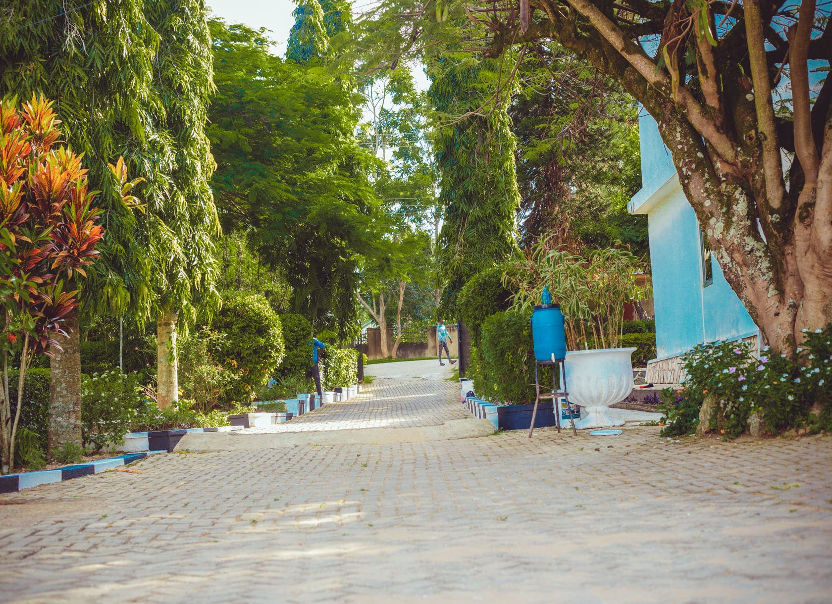 Park fz_a_park_outdoor